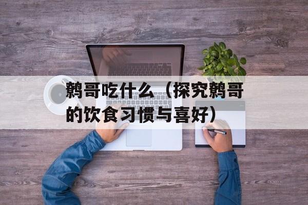 鹩哥吃什么（探究鹩哥的饮食习惯与喜好）-第1张图片-