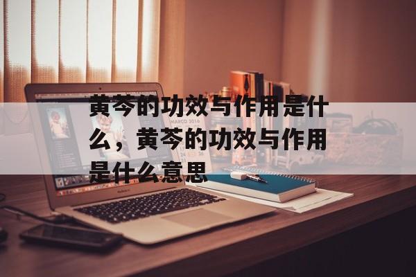 黄芩的功效与作用是什么，黄芩的功效与作用是什么意思-第1张图片-