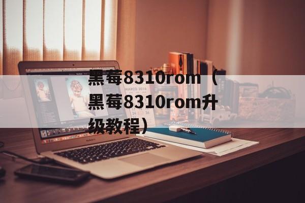 黑莓8310rom（黑莓8310rom升级教程）-第1张图片-
