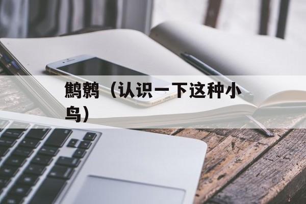 鹪鹩（认识一下这种小鸟）-第1张图片-