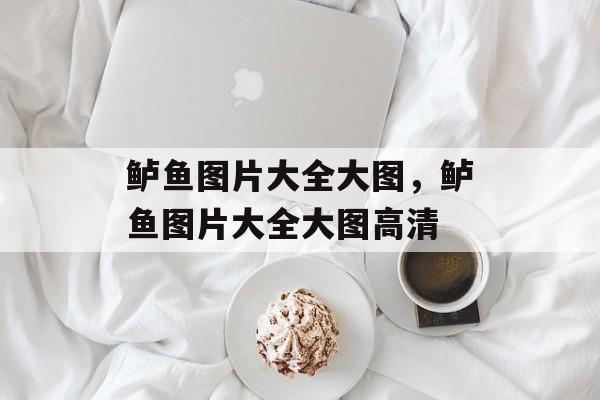 鲈鱼图片大全大图，鲈鱼图片大全大图高清-第1张图片-