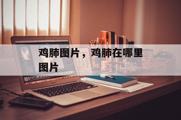 鸡肺图片，鸡肺在哪里图片-第1张图片-