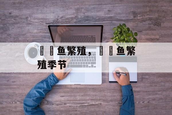 鳑鲏鱼繁殖，鳑鲏鱼繁殖季节-第1张图片-