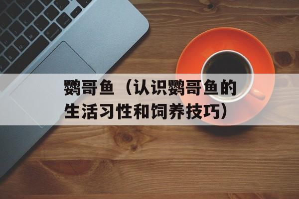 鹦哥鱼（认识鹦哥鱼的生活习性和饲养技巧）-第1张图片-