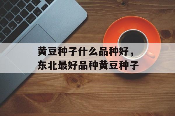 黄豆种子什么品种好，东北最好品种黄豆种子-第1张图片-