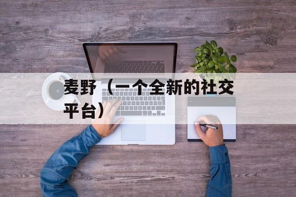 麦野（一个全新的社交平台）-第1张图片-