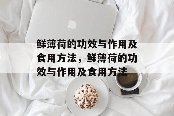 鲜薄荷的功效与作用及食用方法，鲜薄荷的功效与作用及食用方法-第1张图片-