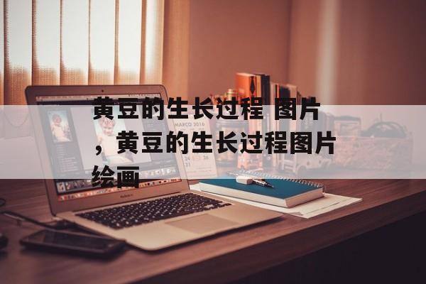 黄豆的生长过程 图片，黄豆的生长过程图片绘画-第1张图片-