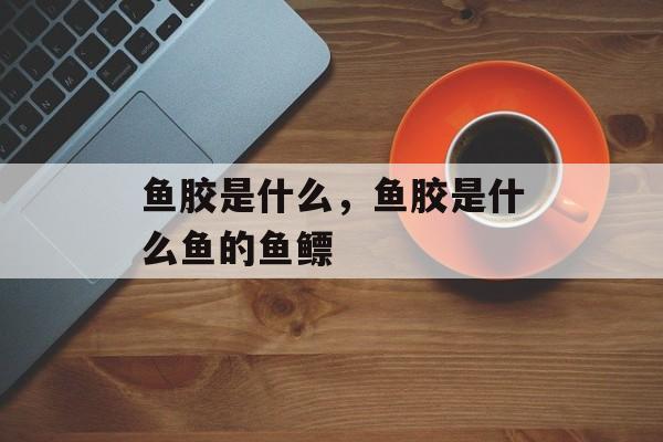 鱼胶是什么，鱼胶是什么鱼的鱼鳔-第1张图片-