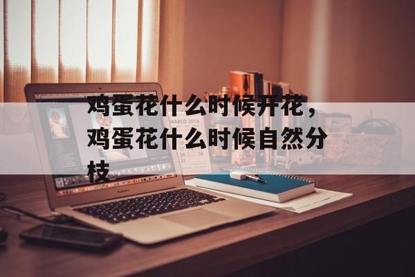 鸡蛋花什么时候开花，鸡蛋花什么时候自然分枝-第1张图片-