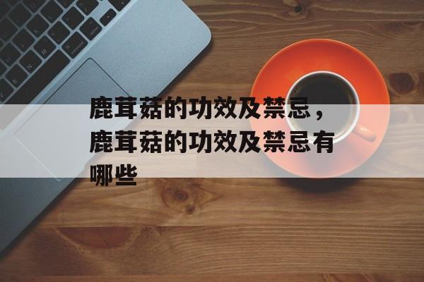鹿茸菇的功效及禁忌，鹿茸菇的功效及禁忌有哪些-第1张图片-