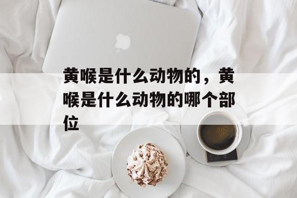 黄喉是什么动物的，黄喉是什么动物的哪个部位-第1张图片-