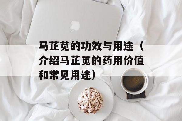 马芷苋的功效与用途（介绍马芷苋的药用价值和常见用途）-第1张图片-
