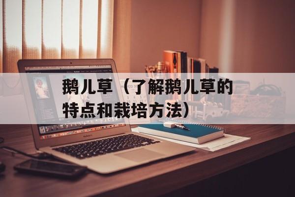 鹅儿草（了解鹅儿草的特点和栽培方法）-第1张图片-