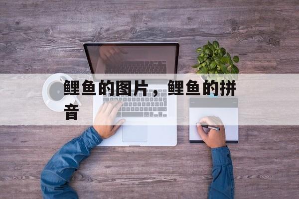 鲤鱼的图片，鲤鱼的拼音-第1张图片-