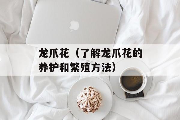 龙爪花（了解龙爪花的养护和繁殖方法）-第1张图片-
