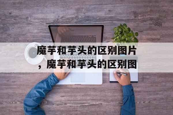魔芋和芋头的区别图片，魔芋和芋头的区别图-第1张图片-