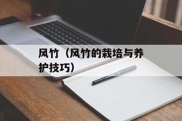 风竹（风竹的栽培与养护技巧）-第1张图片-
