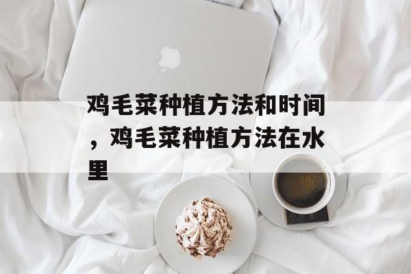 鸡毛菜种植方法和时间，鸡毛菜种植方法在水里-第1张图片-