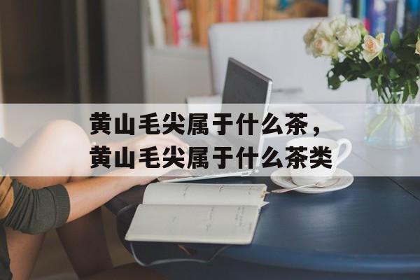 黄山毛尖属于什么茶，黄山毛尖属于什么茶类-第1张图片-