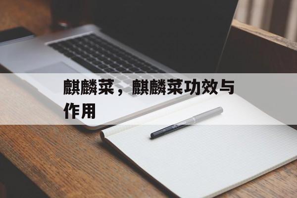 麒麟菜，麒麟菜功效与作用-第1张图片-