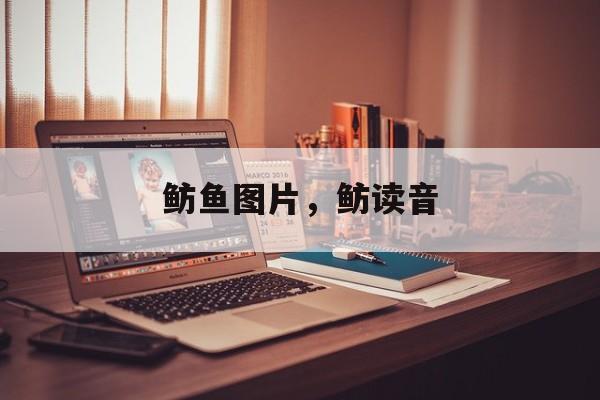 鲂鱼图片，鲂读音-第1张图片-