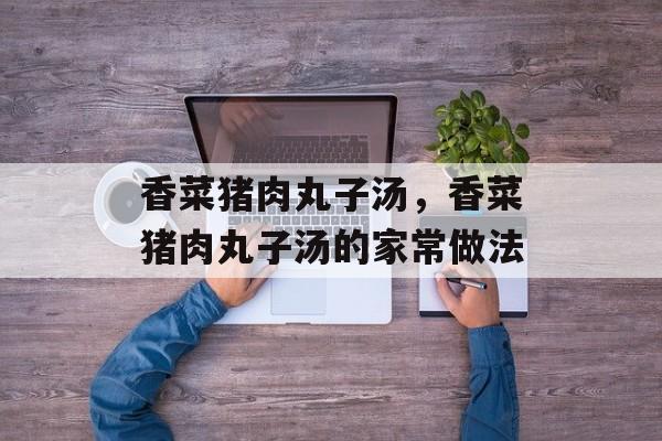 香菜猪肉丸子汤，香菜猪肉丸子汤的家常做法-第1张图片-