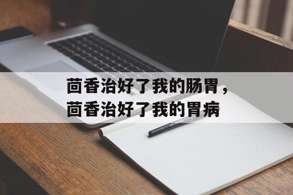 茴香治好了我的肠胃，茴香治好了我的胃病-第1张图片-