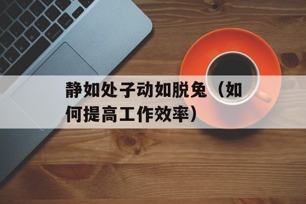 静如处子动如脱兔（如何提高工作效率）-第1张图片-