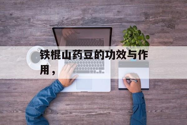 铁棍山药豆的功效与作用，-第1张图片-