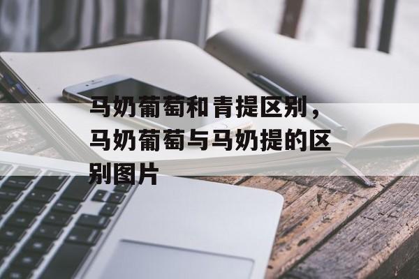 马奶葡萄和青提区别，马奶葡萄与马奶提的区别图片-第1张图片-
