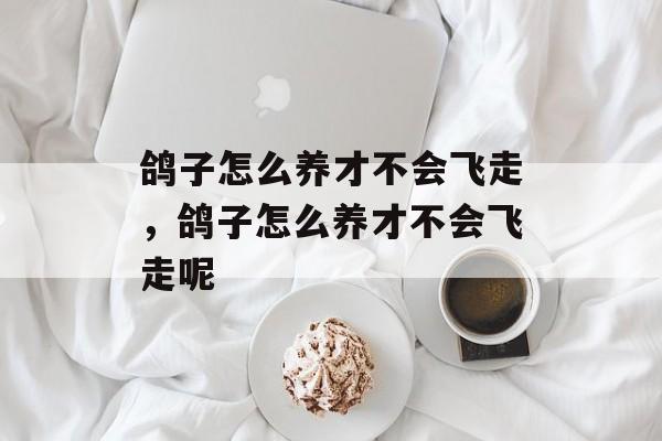 鸽子怎么养才不会飞走，鸽子怎么养才不会飞走呢-第1张图片-