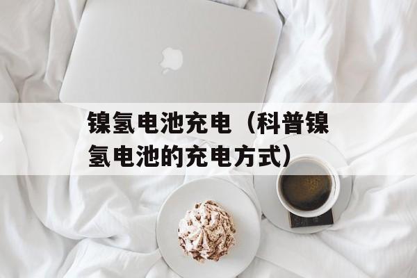镍氢电池充电（科普镍氢电池的充电方式）-第1张图片-