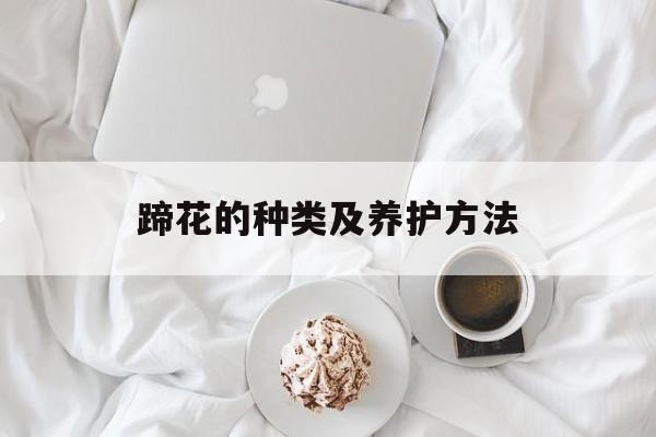 蹄花的种类及养护方法-第1张图片-