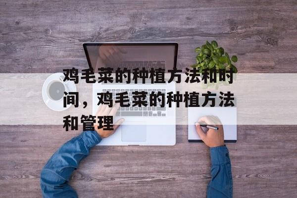 鸡毛菜的种植方法和时间，鸡毛菜的种植方法和管理-第1张图片-
