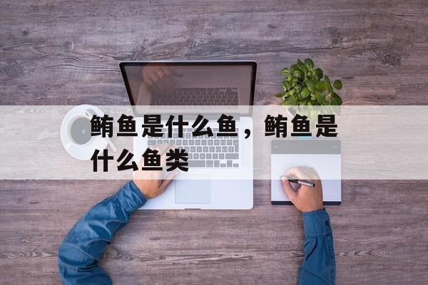 鲔鱼是什么鱼，鲔鱼是什么鱼类-第1张图片-