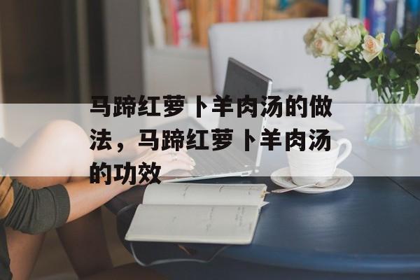 马蹄红萝卜羊肉汤的做法，马蹄红萝卜羊肉汤的功效-第1张图片-