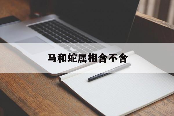 马和蛇属相合不合-第1张图片-