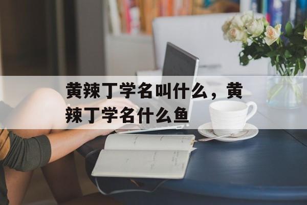 黄辣丁学名叫什么，黄辣丁学名什么鱼-第1张图片-