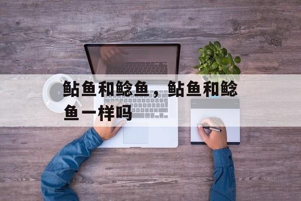 鲇鱼和鲶鱼，鲇鱼和鲶鱼一样吗-第1张图片-