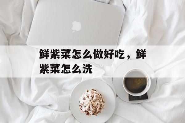 鲜紫菜怎么做好吃，鲜紫菜怎么洗-第1张图片-