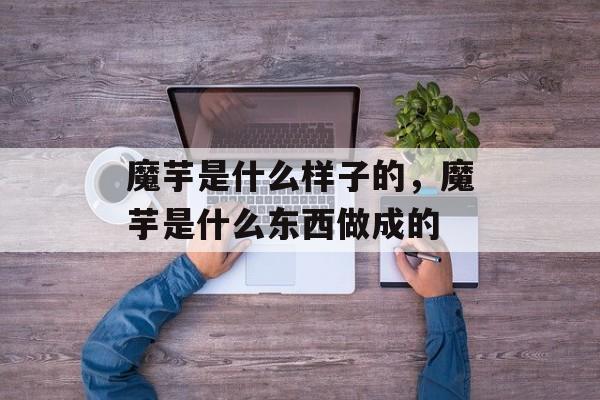 魔芋是什么样子的，魔芋是什么东西做成的-第1张图片-