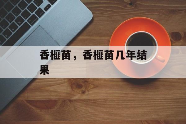 香榧苗，香榧苗几年结果-第1张图片-