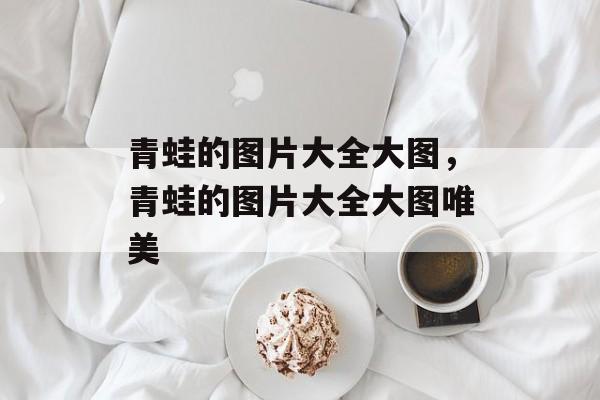 青蛙的图片大全大图，青蛙的图片大全大图唯美-第1张图片-