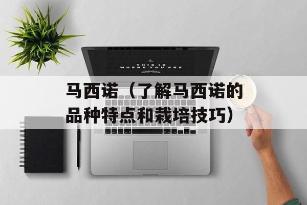 马西诺（了解马西诺的品种特点和栽培技巧）-第1张图片-