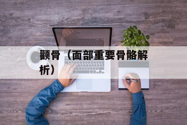 颧骨（面部重要骨骼解析）-第1张图片-
