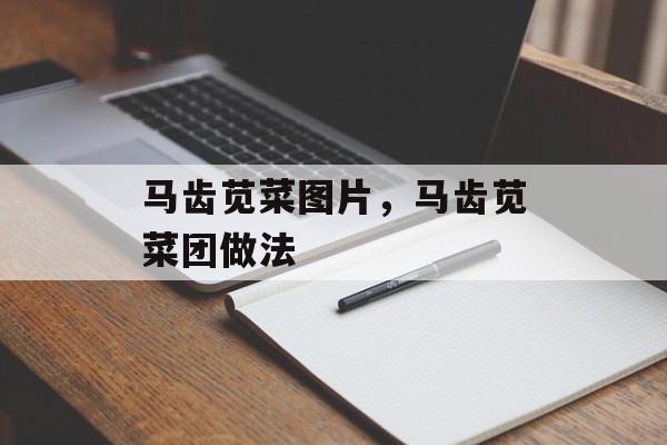 马齿苋菜图片，马齿苋菜团做法-第1张图片-