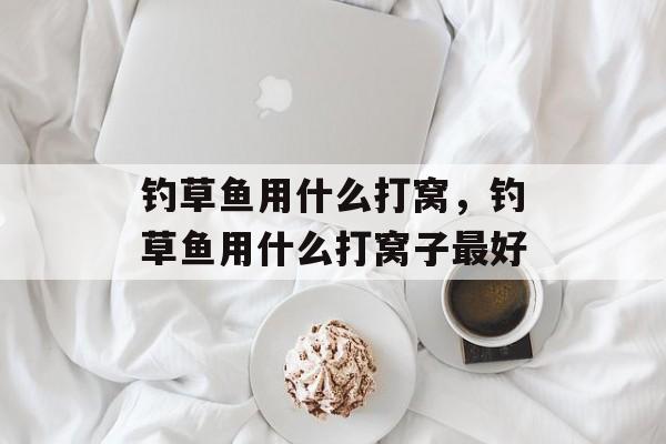 钓草鱼用什么打窝，钓草鱼用什么打窝子最好-第1张图片-