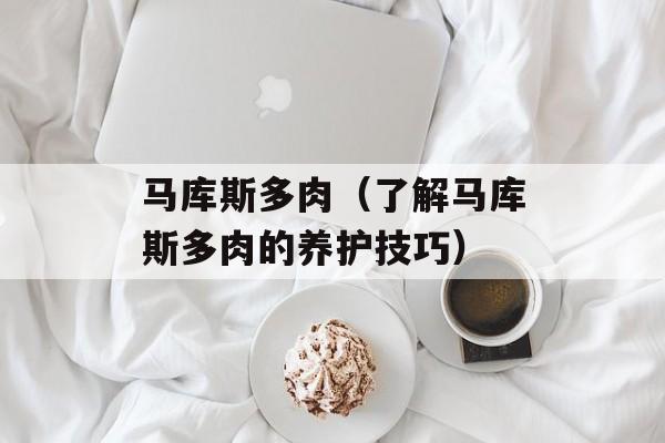 马库斯多肉（了解马库斯多肉的养护技巧）-第1张图片-