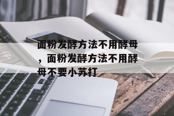 面粉发酵方法不用酵母，面粉发酵方法不用酵母不要小苏打-第1张图片-